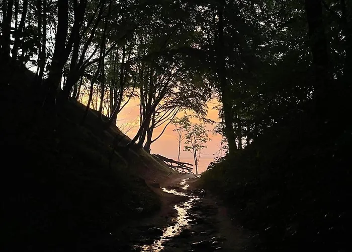 דירה Natura Rozewska *