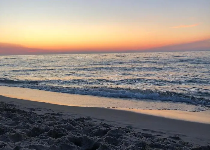 Natura Rozewska דירה